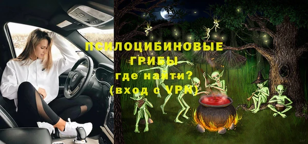 шишки Алексеевка