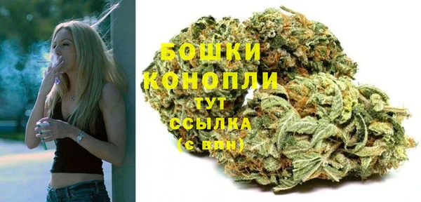 прущий лед Абаза