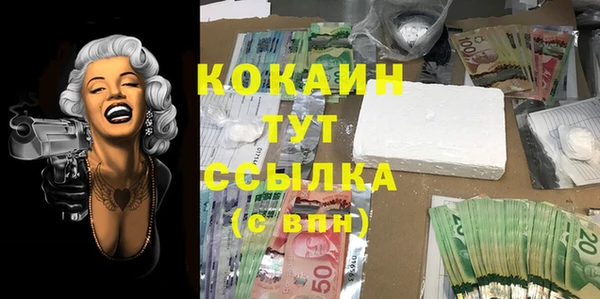 шишки Алексеевка