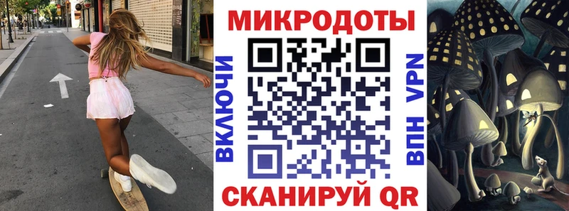 закладка  Ува  Псилоцибиновые грибы Psilocybine cubensis 